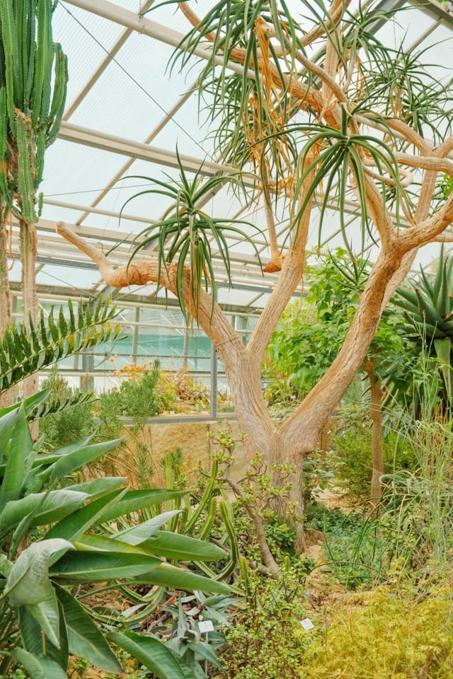 Bloeituin - Hoe maak je een hangende plantenhoek thuis?