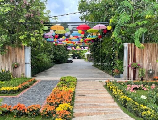 Bloeituin - Welke groenten groeien goed in schaduw?