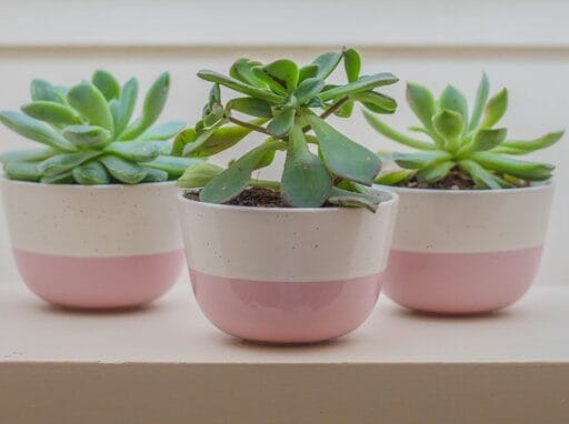 Bloeituin - Wat zijn de beste hakselaars voor takken?