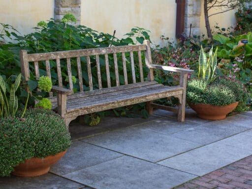 Bloeituin - Zomertuin verzorgen tijdens een hittegolf