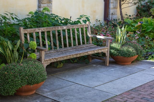 Bloeituin - Zomertuin verzorgen tijdens een hittegolf