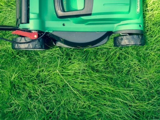 Bloeituin - Hoe bouw je een tuintafel van hergebruikte planken?