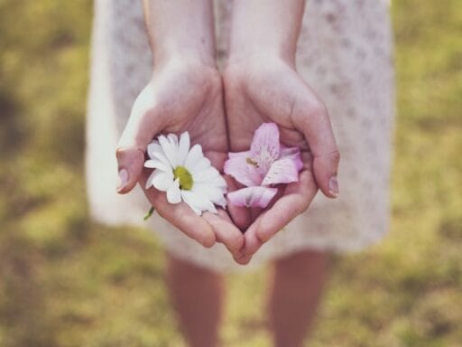 Bloeituin - Wat zijn de beste schoffels voor onkruid?