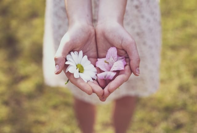 Bloeituin - Beste bloemen voor een fleurig binnenboeket