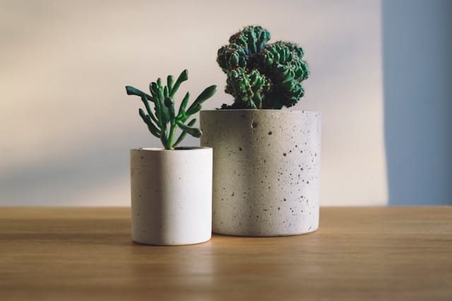 Bloeituin - Onmisbare tips voor een gezonde tuinbodem