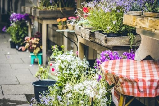 Bloeituin - Welke verlichting is ideaal voor avondtuinen?
