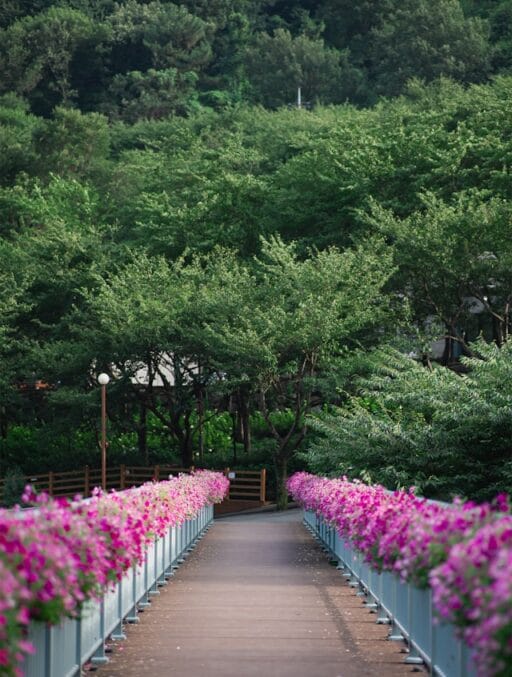 Bloeituin - Welke planten verdragen arme zandgrond goed?