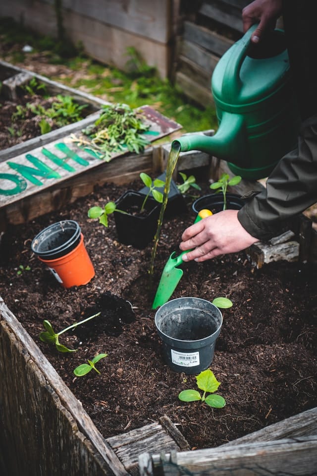 Bloeituin - Welke planten zijn veilig om aan te raken?