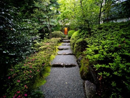 Bloeituin - Hoe maak je zelf een decoratief tuinhek?