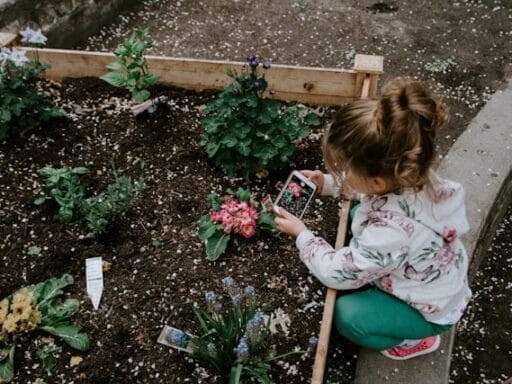 Bloeituin - Wat heb je nodig voor een kruidentrap?