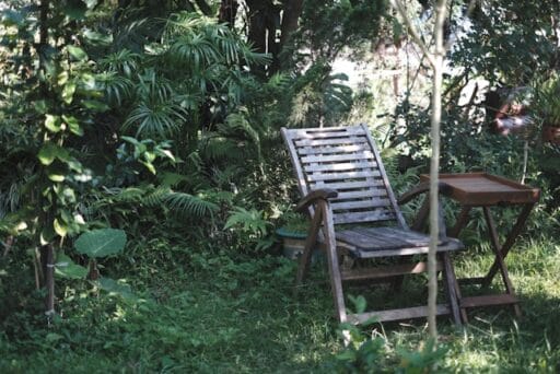 Bloeituin - Hoe los je kale plekken in het gazon op?