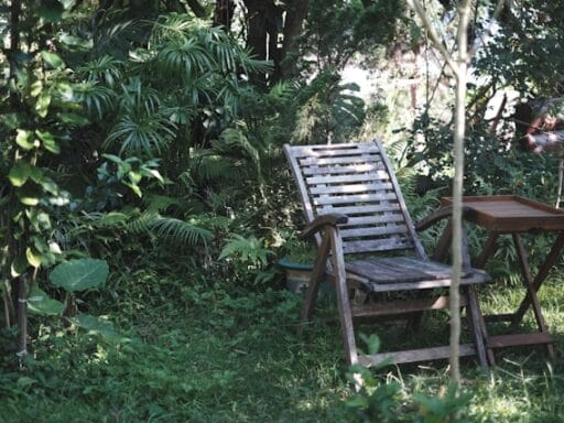 Bloeituin - Hoe los je kale plekken in het gazon op?