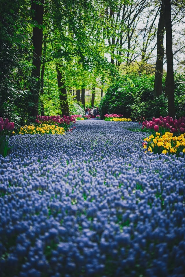Bloeituin - Beste plek in de tuin voor een vijver