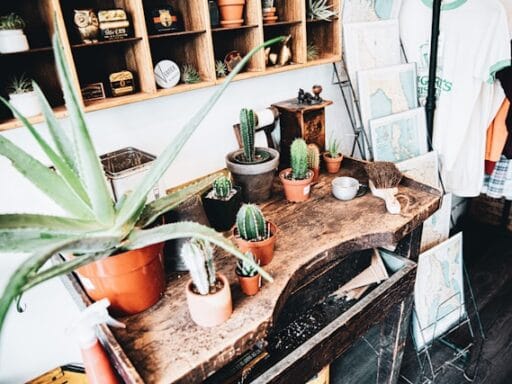 Bloeituin - Hoe kies je de beste heggenschaar?