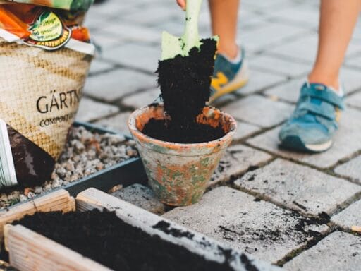 Bloeituin - Hoe maak je een boomstam tot plantenbak?