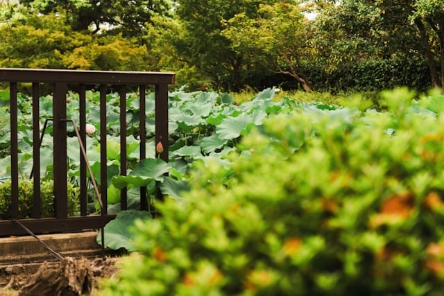 Bloeituin - Hoe maak je een duurzaam tuinontwerp?