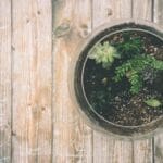 Bloeituin - Beste alternatieven voor plastic tuinmaterialen