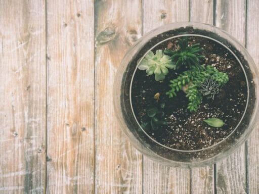 Bloeituin - Beste alternatieven voor plastic tuinmaterialen