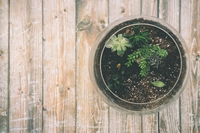 Bloeituin - Beste alternatieven voor plastic tuinmaterialen