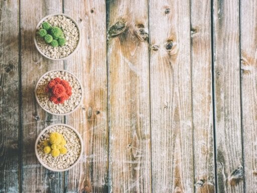 Bloeituin - Hoe combineer je kleuren in een border?