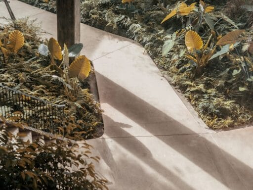 Bloeituin - Hoe richt je een kleine zithoek in met pallets?