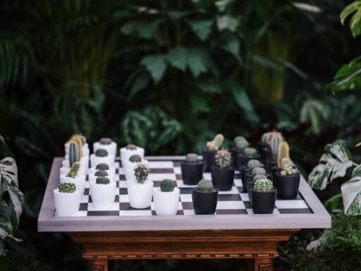 Bloeituin - Welke mulch is het meest duurzaam voor planten?
