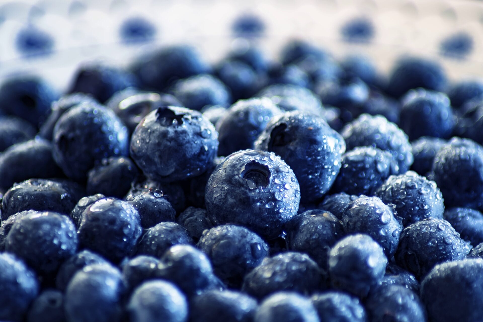 De gezondheidsvoordelen van blauwe bessen