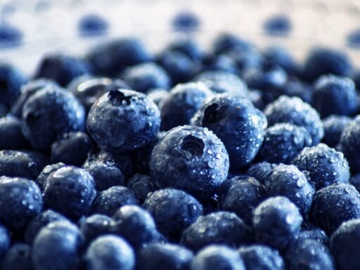 De gezondheidsvoordelen van blauwe bessen