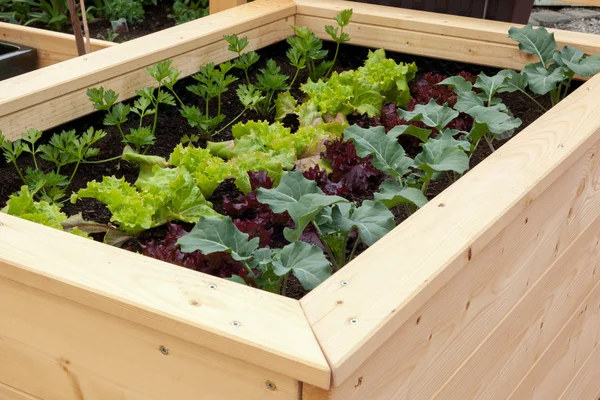 hout in moestuin