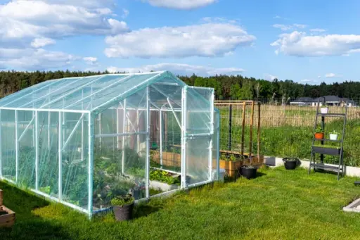 Bloeituin - Wat je moet weten als je een moestuin in kas gaat beginnen
