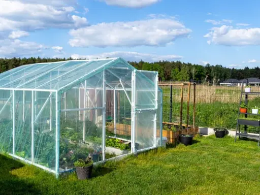 Bloeituin - Wat je moet weten als je een moestuin in kas gaat beginnen