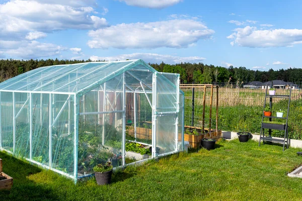 Bloeituin - Wat je moet weten als je een moestuin in kas gaat beginnen